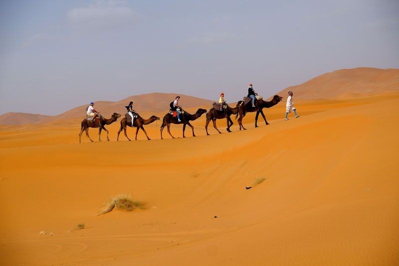Desert Excursions