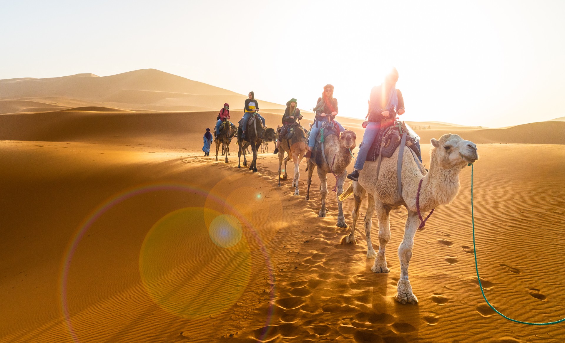 Caravan walking in Merzouga desert